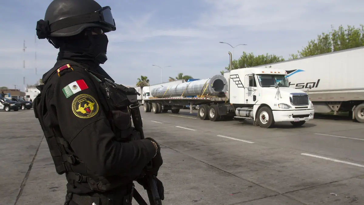 Fuerza Civil Nuevo Léon